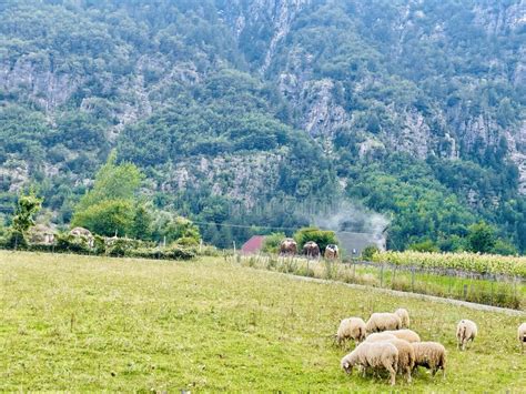 The Village Of Theth Albanian Alps Albania Stock Image Image Of