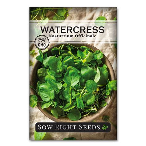 Watercress Seeds Nutritious Green To Add Spice To Your Dishes Sow