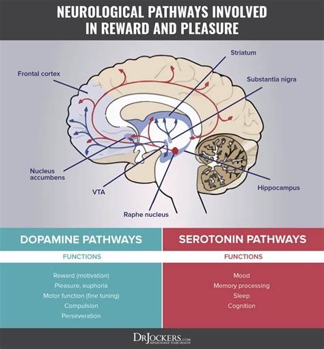 Addiction causes and natural treatments – Artofit