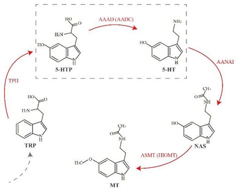 Molecules Free Full Text A Comparative Genomic Survey Provides