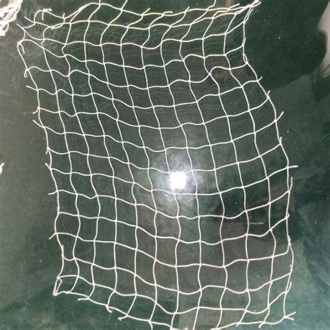 nylon white safety net  rs sq ft  haridwar id