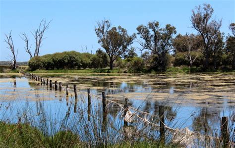 Activities and Attractions in and around Busselton