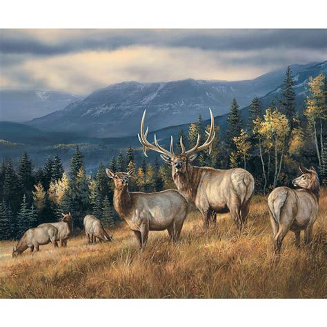 Puzzle 1000 pièces Cerfs en automne White Mountain Puzzles Rue