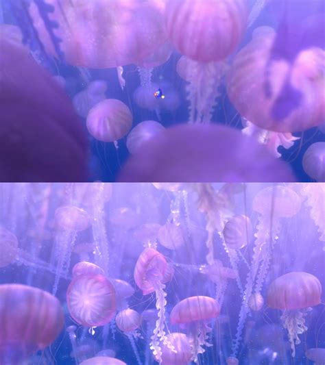Finding Nemo Jellyfish by Mdwyer5 on DeviantArt