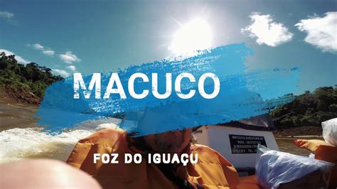 Macuco Safari Foz do Iguaçu YouTube