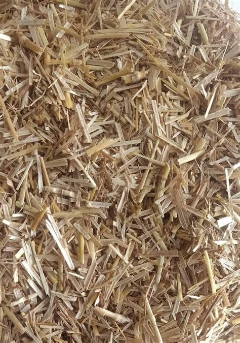 Wheat Husk, Packaging Type: Bales at ₹ 12/kg in Amritsar | ID: 26285450955