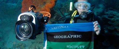 The National Geographic Logo: The History Behind The Brand | LOGO.com