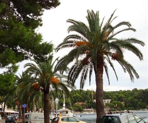 Cavtat 2 Wallpaper - Download to your mobile from PHONEKY