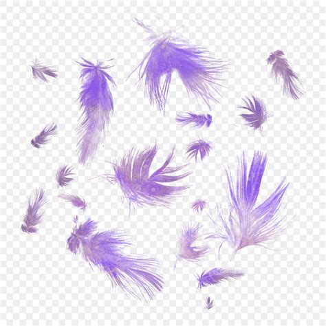 Floating Feather Hd Transparent Fantasy Elegant Purple Gradient