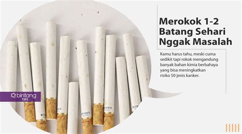 Mitos Seputar Rokok Yang Tak Perlu Anda Percaya Health Liputan