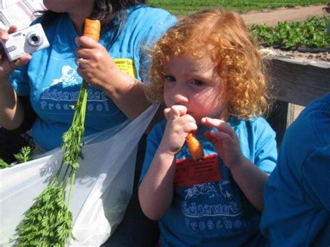 Tanaka Farms Field Trip Edgewater Preschool