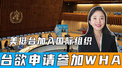 美挺台加入国际组织，台欲申请参加wha，世卫：由194个会员国决定 凤凰网视频 凤凰网