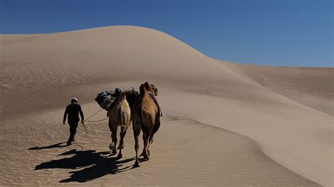 La explicación detrás de los desiertos en África descubre por qué se