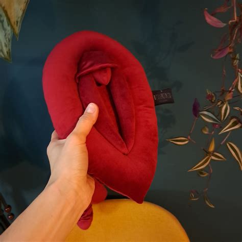 Vulva Clitoris And Penis Pillows Set Red Velvet Vulva Puppet Etsy