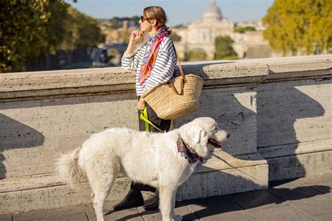 Migliori città italiane da visitare con il cane, quali sono