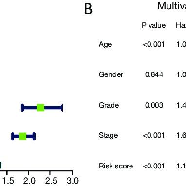 The Immune Risk Score Prognostic Model Is An Independent Prognostic