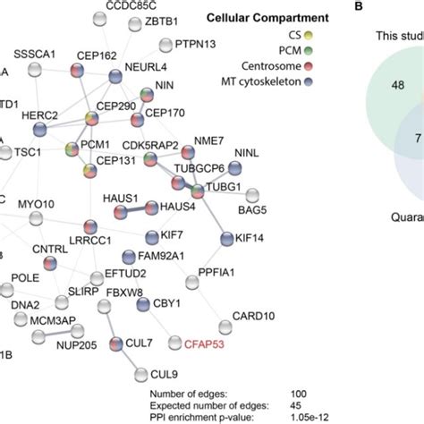 Cfap53 Interacts With Centrosomal Centriolar Satellite And Microtubule