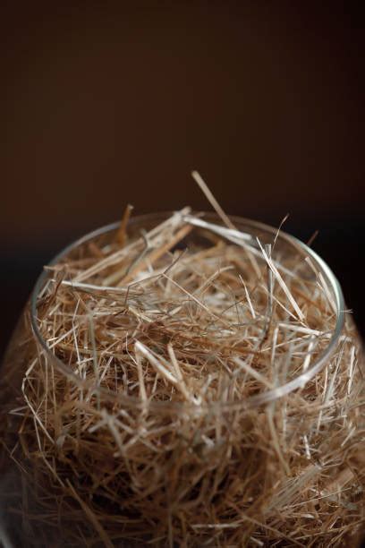 20 Hay Bale Couch Stock Photos Pictures And Royalty Free Images Istock