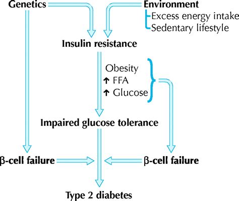 Oral Antihyperglycemic Therapy For Type 2 Diabetes Mellitus Cmaj