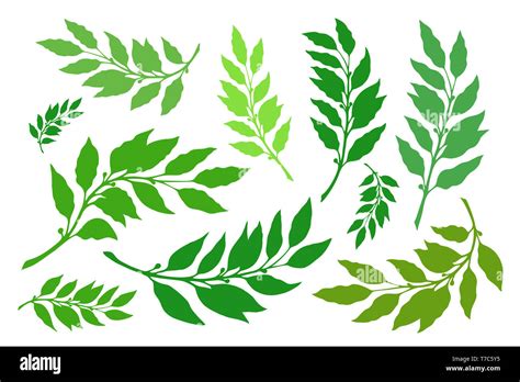 Laurel Leaves Border Cut Out Stock Images & Pictures - Alamy