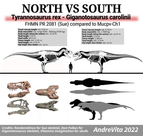 Tyrannosaurus Rex Specimen Sue Vs Giganotosaurus Type Specimen