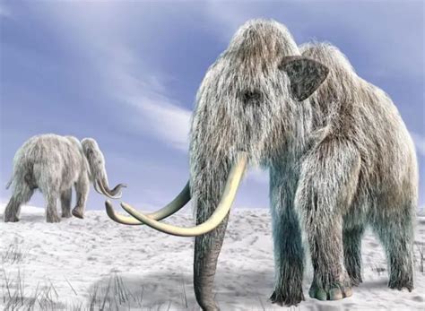 5 Incredible Ice Age Mammals Who Ruled Before Us Procaffenation