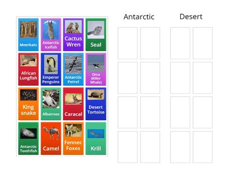 Hot Cold Habitats Group Sort