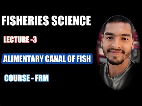 Fisheries Lecture Alimentary Canal Of Fish Course Frm Bfsc