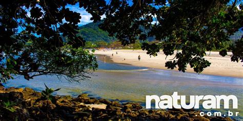 Praia De Camburi E Camburizinho Guia Completo Naturam