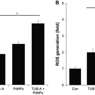 Dose Dependent Effects Of TUB A And PdNPs On Cell Viability In