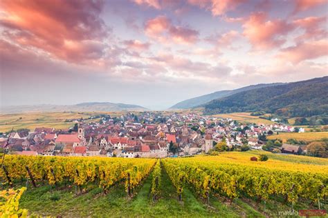 Matteo Colombo Photography Sunrise Over Autumn Vineyards Riquewihr