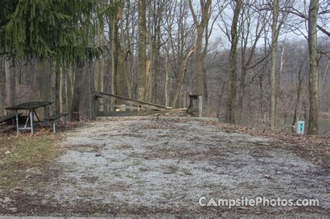 Mt Gilead State Park Campsite Photos