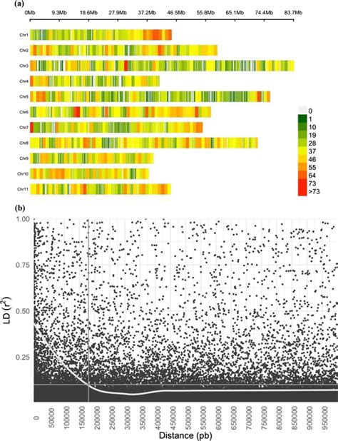 A Snp Density Plot Across Each Chromosome Representing The Number Of