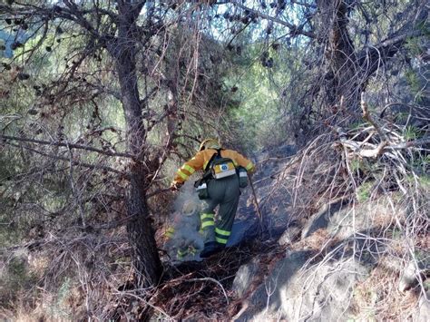 Efectivos Del Plan Infomur Dan Por Controlado El Incendio Forestal