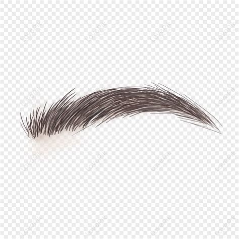 Willow Eyebrow Clip Art Png Transparent Background And Clipart Image