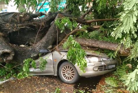 Pokok Tumbang Hempap Kereta Pemandu Maut Astro Awani