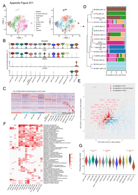 Single Cell Transcriptome Profiling An Adult Human Cell Atlas Of 15