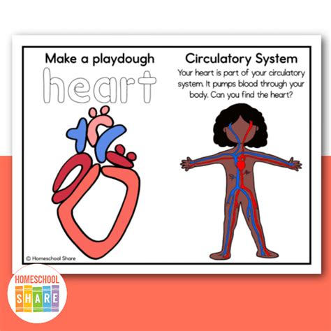 Human Body Playdough Mats Free Homeschool Share
