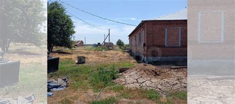 Продается сельхоз ферма купить в Белой Глине | Готовый бизнес и ...