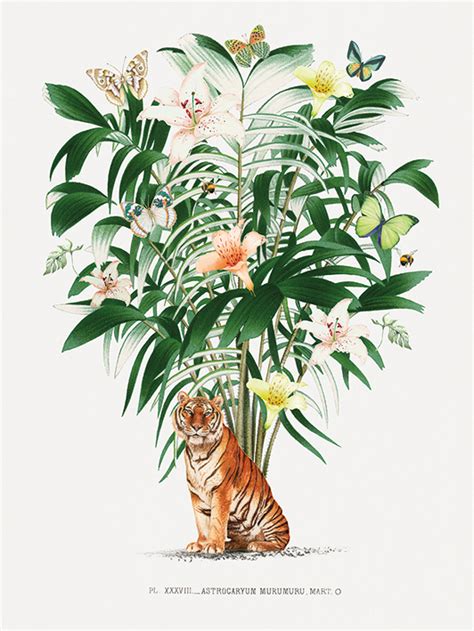 Summer Thornton Tiger Palm Canvas Print The Art Group