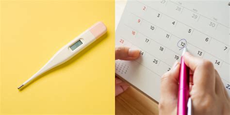 Natural Birth Control What It Is And How It Works — Nyc Naturopathic Dr Integrative Functional