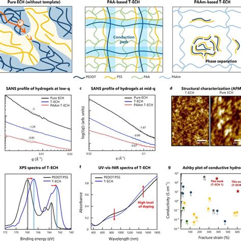 Mechanical And Electrical Properties Of Conductive Hydrogels A