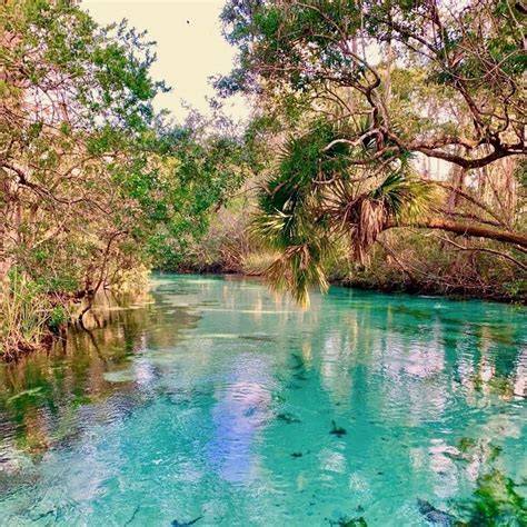 Kayaking At Weeki Wachee Springs Impulse4adventure