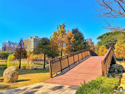 高雄市區最美落羽松景緻，凹子底公園，湖泊倒影、療癒美景 跟著尼力吃喝玩樂＆親子生活