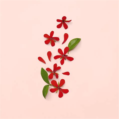 Gucci Bloom | Eau de Parfum for Women | notino.co.uk
