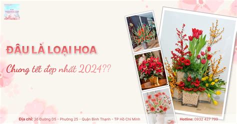 Đâu Là Loại Hoa Chưng Tết đẹp Nhất 2024