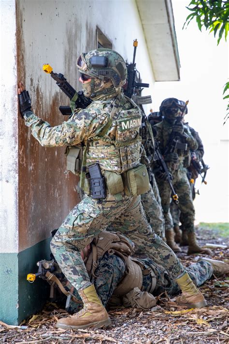 DVIDS Images Forces From The U S And Mexico Conduct Joint