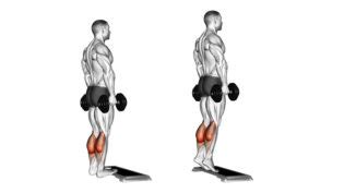 Calf Workouts Best Calf Excerises For Adding Mass Fast