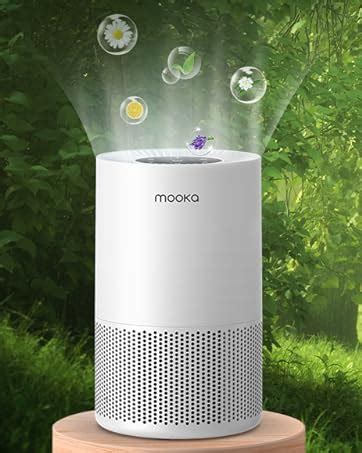 Amazon Mooka Ap S L Air Purifier Filter In True Hepa