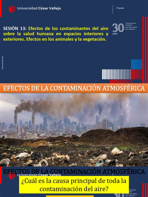 13 Efectos De La Contaminacion En La Salud Descargar Gratis Pdf La Contaminación Del Aire